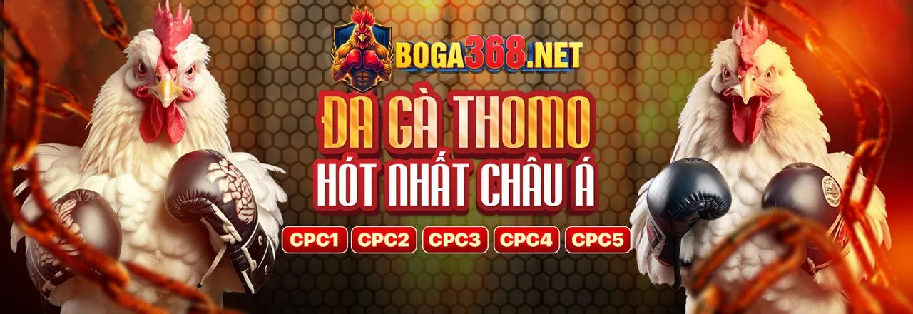 Hình ảnh chính blog 888aa về cá cược trực tuyến và chiến lược